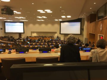 ישיבת המועצה הכלכלית-חברתית של האו"ם (ECOSOC)
