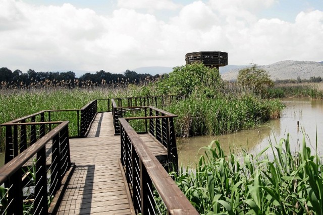 The floating bridge at the Hula Nature Reserve