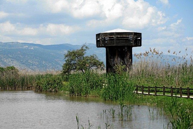 the Observation tower at the Hula Nature Reserve