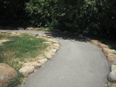 Accessible Pathway to the pond