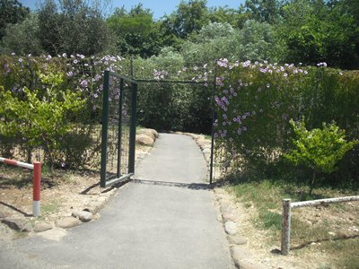 Pathway to the pond ramp