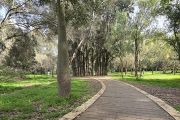 יצאנו לבדוק: יער אילנות – גן בוטני עירוני