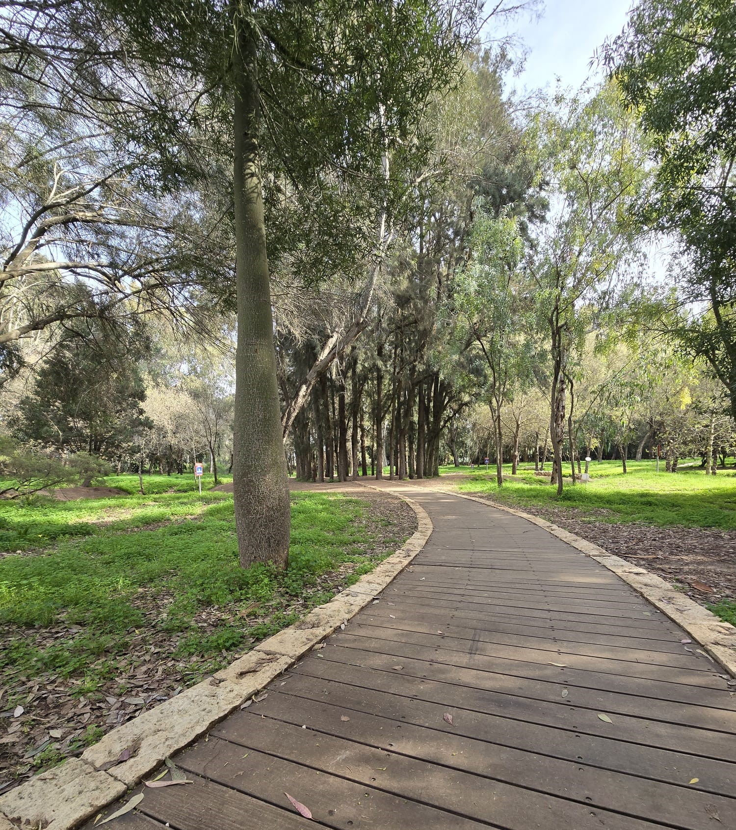 יצאנו לבדוק: יער אילנות – גן בוטני עירוני