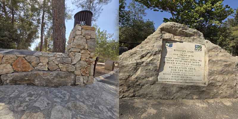 פארק העיוורים ביער בן שמן – טיול נגיש ומיוחד לכל החושים