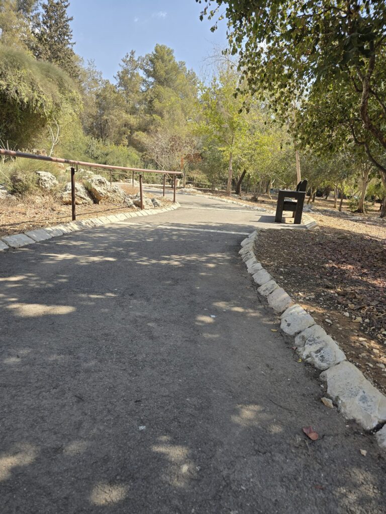 שביל נגיש בפארק 
